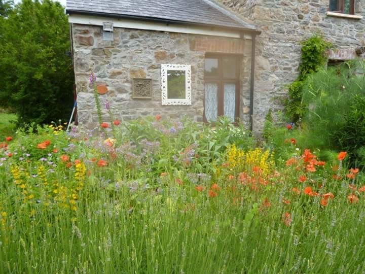 Middle Mill Kidwelly Exterior foto